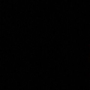 Meet your Posher, Dillon